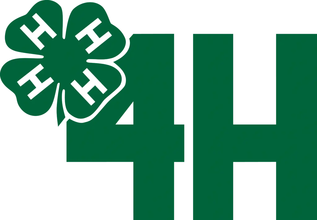 4h logga a4 1024x710