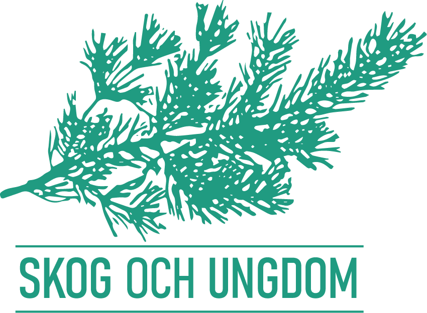 loggan farg en grön (002)